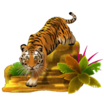  Tiger-Cartoon-Clipart_14 (320x320, 107Kb)