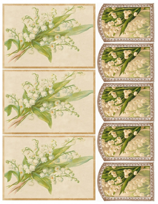 4267534_Lily_of_the_valley__3_5x5_cards_2x3_tags_printable__lilacnlavender (541x700, 324Kb)