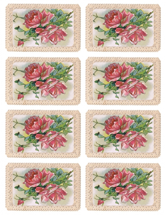 4267534_Pink_roses_and_buds_postcard_with_scalloped_border__printable__lilacnlavender (541x700, 361Kb)