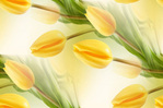  tulip-flowers_1280x1024_80030 (500x333, 60Kb)