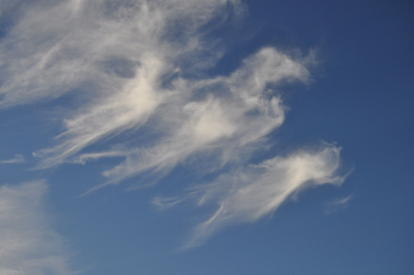 20110531104740_eagle cloud without polarizer (600x398, 139Kb)