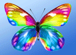 радужная бабочка (150x108, 223Kb)
