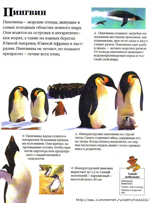 Entziklopedia dlya detei.Vse o jivotnih ot a do ya..page109 (520x700, 274Kb)