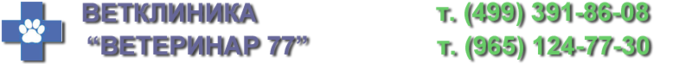 logo (700x64, 41Kb)