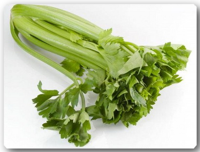 celery (410x312, 42Kb)