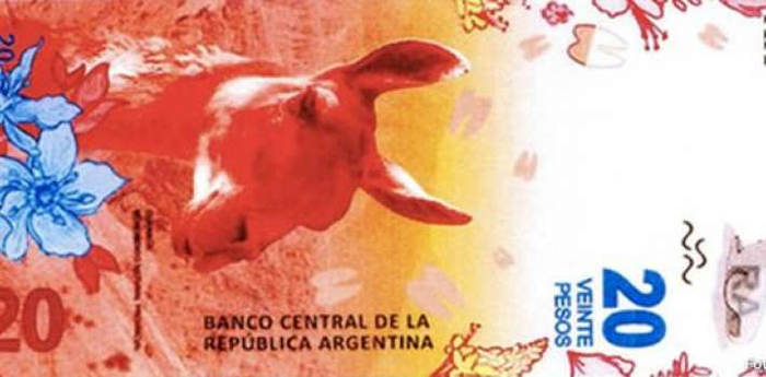 guanacobillete20pesosargentina (700x345, 216Kb)