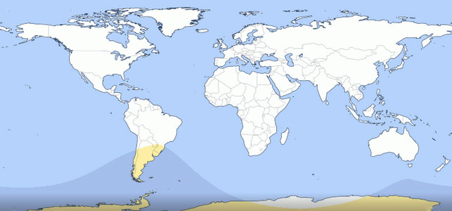 solar-eclipse-15022017 (643x300, 87Kb)