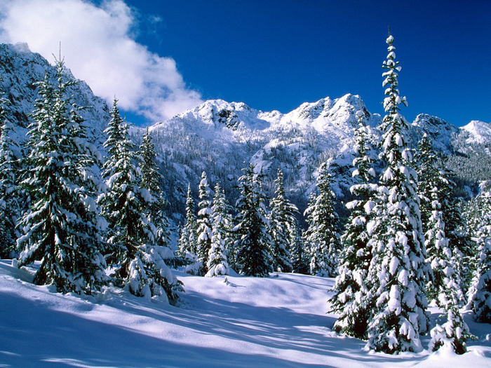 зимний пейзаж фото 9 (700x525, 566Kb)