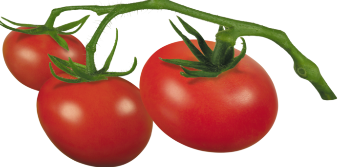 томаты (700x343, 246Kb)