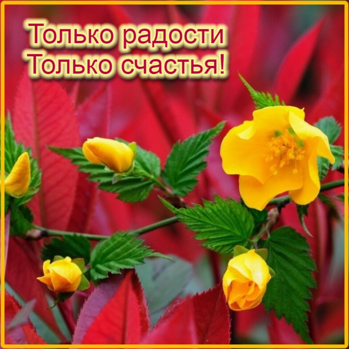 4565946_look_com_ua67376_jpg (700x700, 666Kb)