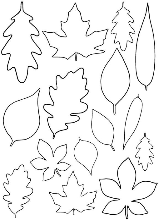 leaf(01a (509x700, 118Kb)
