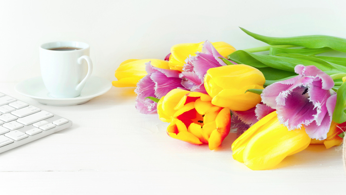 vesna-beautiful-fresh-colorful-wood-tiulpany-tulips-bright-8 (700x393, 227Kb)