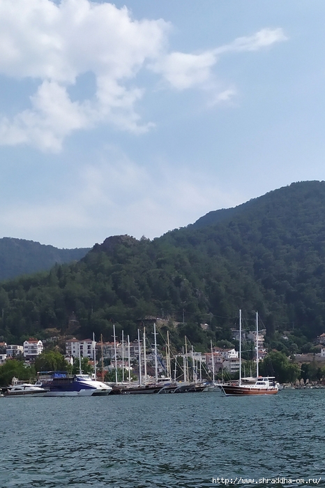 , , Fethiye, Turkey, Shraddhatravel 2023 (329_) (466x700, 239Kb)