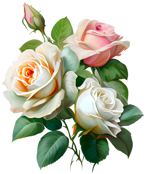 Pngtreenatural fresh roses flowers_9010892 (589x700, 454Kb)