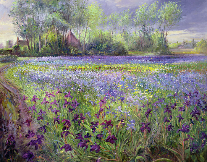 trackway-past-the-iris-field-timothy-easton (700x548, 711Kb)