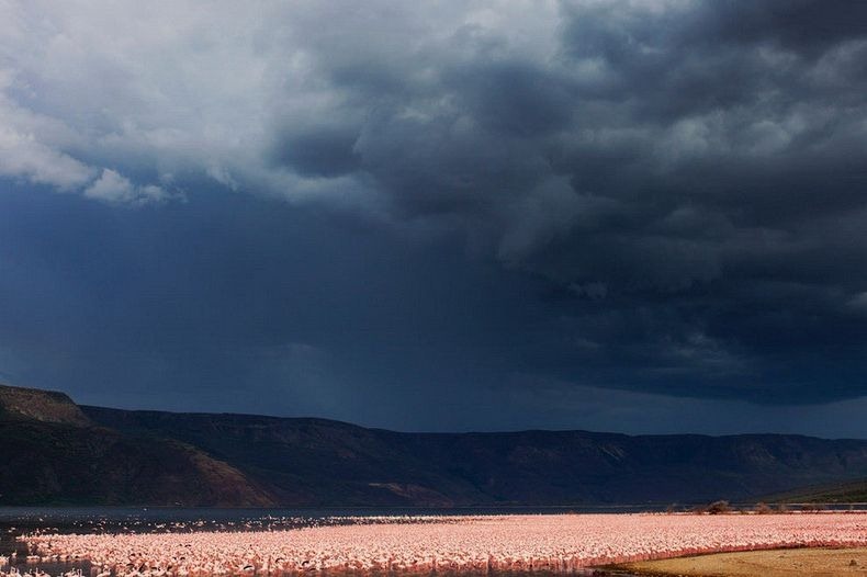 lake-nakuru-flamingos-8