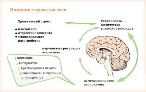 3018084-inline-stresschart1