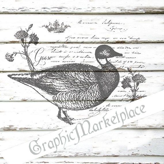 French Postcard Goose Instant Download