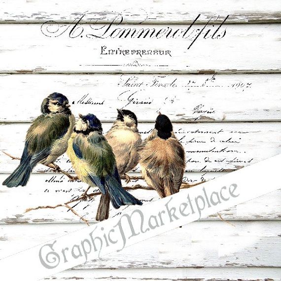 French Letter Birds Card Instant Download by GraphicMarketplace