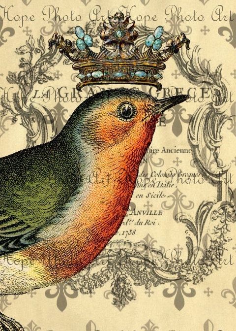 Victorian bird