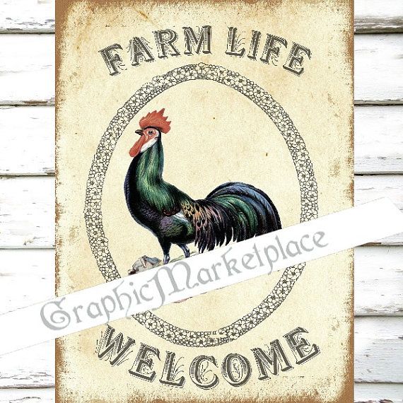 Farm Welcome Rooster Large Image Instant by GraphicMarketplace