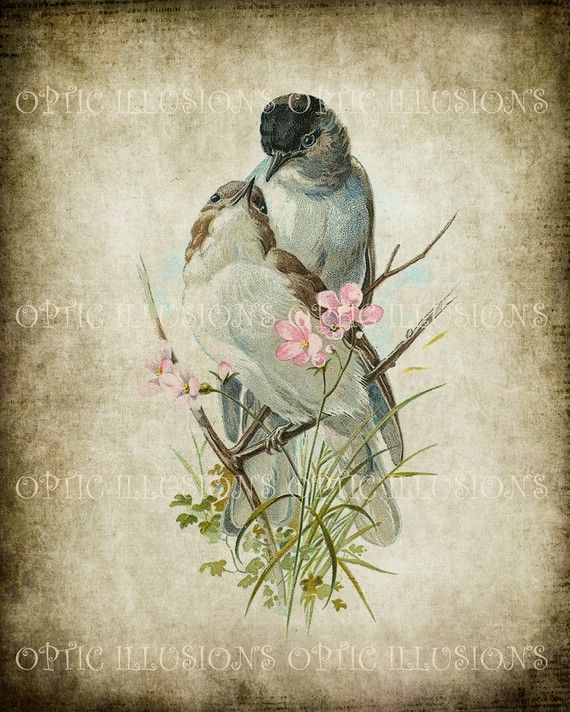 Printable Digital Picture - Vintage Bird