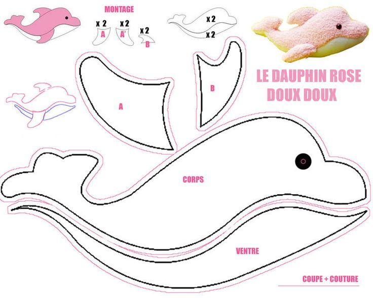 dolphin