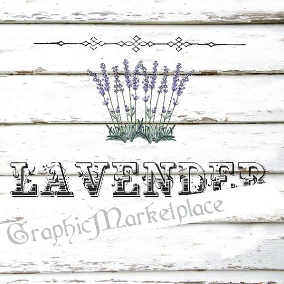 Instant Download Lavender Shabby Transfer