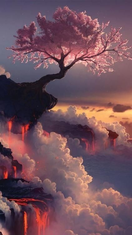 Cherry blossom tree at the Fuji volcano