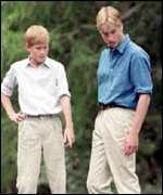 [ image: Princes William and Harry]