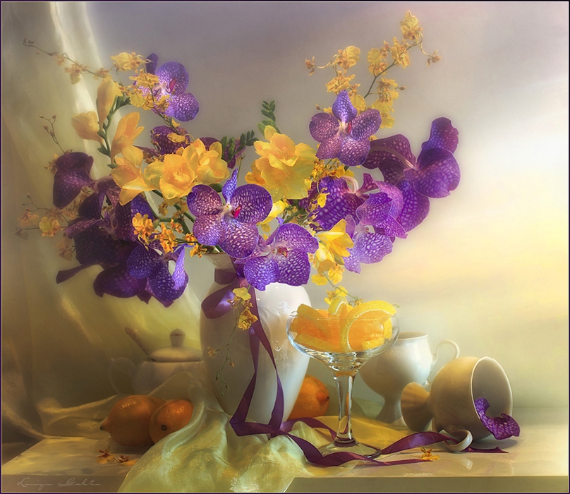   - Luiza Gelts - Still  Lifes - Butterflies  