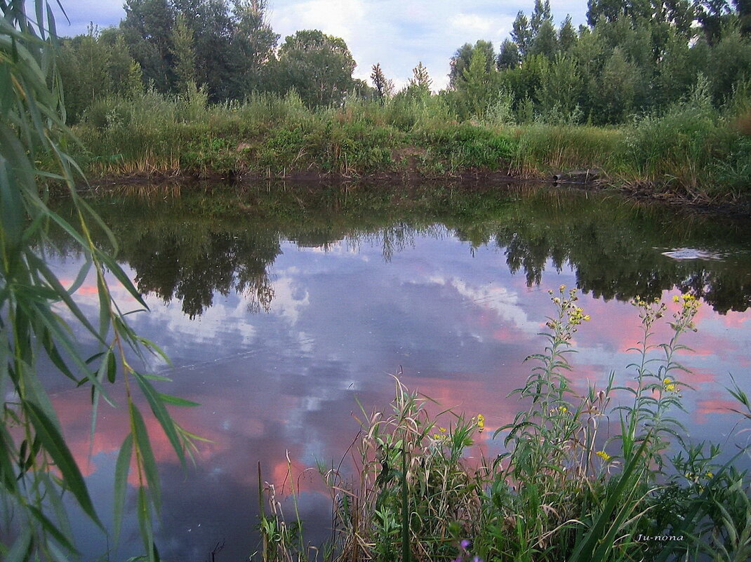 В воде купались облака. - Татьяна Кудрина