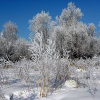 Подморозило :: Александр Попов