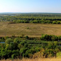 Дон :: Наталья Честных