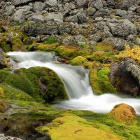 Осенняя вода... :: Илья Строганов