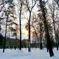 Пьяное Солнце :: Алексей Лукаев