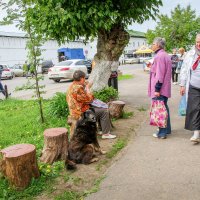 Большой любитель мороженого. :: Владимир Безбородов