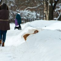 "Ты что? следишь за нами?" :: Владимир Безбородов