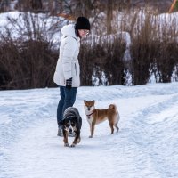 "Ну, что подруга, сбежал кавалер?" :: Владимир Безбородов