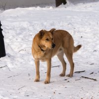 "...а это кто же там такой смелый?" :: Владимир Безбородов