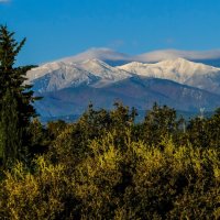 гора Канигу (Canigou), 2764 м, днём :: Георгий А