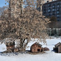 Весна в Московском Зоопарке... :: Наташа *****