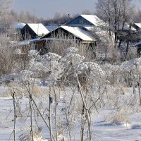 После снегопада :: Татьяна 