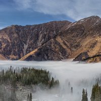 Выше тумана :: Евгений Осадчий