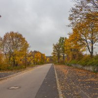 Городская осень :: Waldemar .