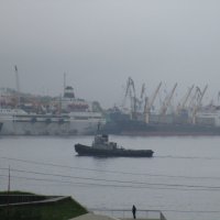 Туманный Владивосток.Залив Золотого Рога. :: Татьяна Тумина