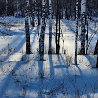 Свет и тени. :: Наталья Юрова