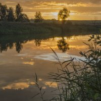 Оранжевый закат :: Лариса Березуцкая