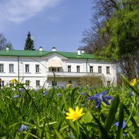 Усадьба в Щёкинском районе Тульской области :: Георгий А