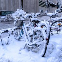 уже пора домой на велосипеде :: Георгий А